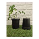 Ekodoğa Yuvarlak Üretim Saksısı, 5 Adet, 10x11 cm, 0,7 Lt, Plastik, Siyah