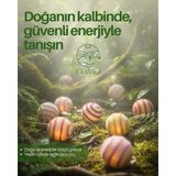 Ekovira 5 Adet Yün Keçe Koku Topu - yok