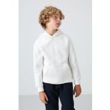 Ekru Pamuklu Kalın İçi Tüylü Yumuşak Dokulu Standart Fit Baskılı Erkek Çocuk Sweatshirt - 11215