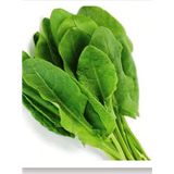 Eks Ticaret Agrodal Tarim Ata Tohumu Yerli Kuzukulağı Gürsel Tohum