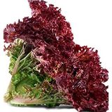 Eks Ticaret Agrodal Tarim Doğal Salata Kirmizi Kivircik Marul Tohum