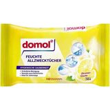 EKS Ticaret Domol Islak Temizlik Bezi Çok Amaçlı, Limon Kokulu