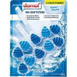 EKS Ticaret Domol Wc Kokusu Klozet Blok Okyanus Ferahlığı 110 gr