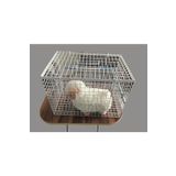 Ekvet Kedi Enjeksiyon Kafesi 45 X 31 X 31 Cm