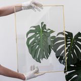 El Crea Designs 60x45cm Pirinç Zincirsiz Duvar Aparatlı Cam Fotoğraf Çerçevesi