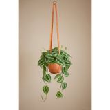 El Yapımı Deri Saksı Askısı, 90CM, Kahverengi, Modern Dekorasyon - Seçenek 1 - Ahşap - Ceviz