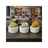 El Yapımı Mini Saksı Seti, 5 Cm, Modern Beton Tasarım