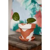 El Yapımı Terracotta Konik Saksı + Tabak - Bohem Beyaz (Küçük)