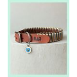 ELAR El Yapımı Paracord & Deri Köpek Boyun Tasması – Örgü Urban 07 | Ayarlanabilir, Dayanıklı, Mavi & Sarı Tasarım (Small (32-40 cm))