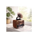 Elarque Nostaljik Radyo Rgb LED Işıklı Bluetooth Radyo ve Müzik Çalar
