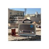 Elarque Nostaljik Radyo Şarjlı Fenerli Bluetooth Radyo ile Nostaljik Müzik Kutusu