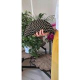 Elayhome Tercih Ettiğiniz Için Teşekkür Ederiz. Elayhome Dekoratif Fermuarlı Cüzdan, Bohem Tarzı Cüzdan, Yıkanabilir, Kadın Cüzdan, Vegan Clutch Çanta