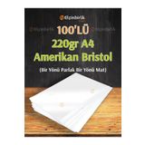Elçinbirlik 220GR A4 100LÜ Amerikan Bristol Karton