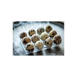 Eldivandan Bıldırcın Yumurtası yemelik 1 Paket 12 Adet ( Özel Kutuda Güvenli Kargo)