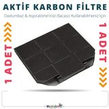 ELECTROLUX EFB60566DX DAVLUMBAZ KARBON FİLTRESİ