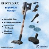 Electrolux Şarjlı Islak Kuru Dikey Süpürge Mavi