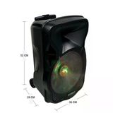 Electromaster 30Cm Portatif Taşınabilir Mikrofonlu Amfili Seyyar Ses Sistemi+ Karaoke