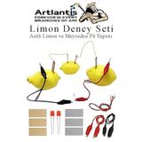 Elektrik Limon Deney Seti 1 Paket Limondan Elektrik Uretme Seti Limon Pili Fen Bilgisi Dersi Kimyasal Enerji
