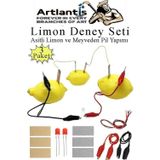 Elektrik Limon Deney Seti 3 Paket Limondan Elektrik Uretme Seti Limon Pili Fen Bilgisi Dersi Kimyasal Enerji