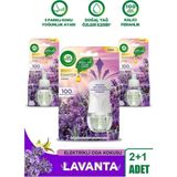 Elektrikli Oda Kokusu Seti Lavanta (1 Kit 2 Yedek)