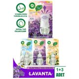 Elektrikli Oda Kokusu Seti Lavanta (1 Kit 3 Yedek)