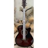 Elektro Akustik Gitar