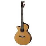 Elektro Klasik Gitar ile Müzik Tutkunları Için Ideal Seçim