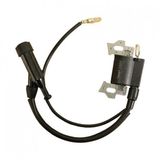 Elektronik Bobin Benzinli Motor Palmera Pa055-pa065-ym160-ym200