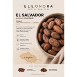 Eleonora Coffee Roasters 500gr El Salvador Organik Criollo Çiğ Kakao Çekirdeği