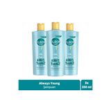 Elidor Collagen Blends Sülfatsız Saç Bakım Şampuanı Always Young Yıpranma Karşıtı Onarıcı 350 ml x3