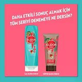 Elidor Doğanın Enerjisi Saç Bakım Şampuanı Argan Yağı & Hibiskus Özü Dökülme Karşıtı & Güçlü Uzamayı Destekleyici 400 ml (4 paketi)