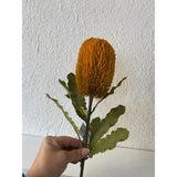 Elif Aksesuar Yapay Banksia Çiçek Tek Dal 65 cm - Koyu Sarı