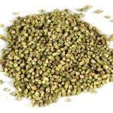 Elif Candar Tohum Kekik (100 Gr.)