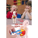 elisalife Organları Tanıtan Eğitici Bebek Oyuncak Insan Vücudu Maketi Anatomisi Iç Organlar Bulmaca Puzzle