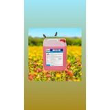 Elisıvı Arap Sabunu 5 Lt - Pembe
