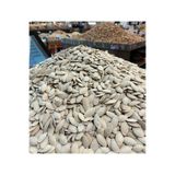 Elit Kuruyemiş Dolgun | Kabak Çekirdeği | 1Kg 3Al2Öde | Ufak Taneli | Az Tuzlu | Nevşehir | Tombul
