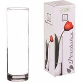Elite 43767 Vazo Silindir 26CM 1 Adet