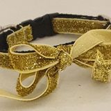 Elite SARI SİMLİ ŞERİTLİ SARKIK FİYONKLU 1 CM KİLİT TOKALI KEDİ TASMASI