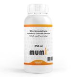 Elito 250 ml Çilekli Limonata Mum Esansı