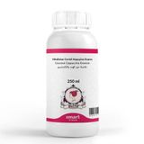 Elito 250 ml Premium Hindistan Cevizli Kapuçino Esansı