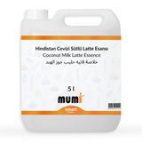 Elito 5 lt Premium Hindistan Cevizi Sütlü Latte Esansı