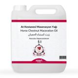 Elito At Kestanesi Maserasyon Yağı Aesculus hippocastanum 5 litre