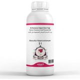 Elito At Kestanesi Soğuk Sıkım Yağı Aesculus Hippocastanum 1 Litre