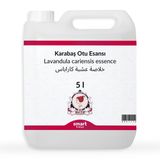Elito Karabaş Otu Esansı 5 litre