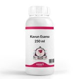 Elito Kavun Esansı 250 ml