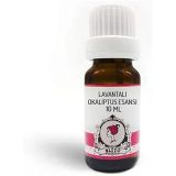 Elito Lavantalı Okaliptus Esansı 10 ml