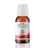 Elito Premium Mistik Orman Esansı 10 ml