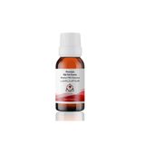 Elito Premium Süt Reçeli Esansı 10 ml