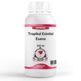 Elito Premium Tropikal Esintisi Esansı 250 ml