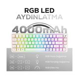 Elivora Store Hawk Gaming HK251 Membrane Rgb Kablosuz/bluetooth%65 Türkçe Gaming Klavye (Beyaz) - Option-1 - 00-Siyah - Beyaz